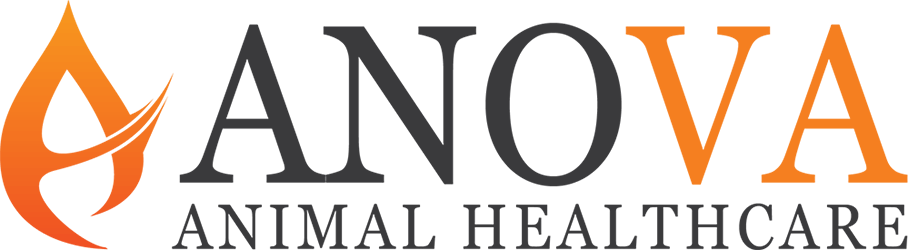 Anova Healthcare logo - premium animal nutrition solutions brand co-owned by Sattvik Agro and Shivam Agro.