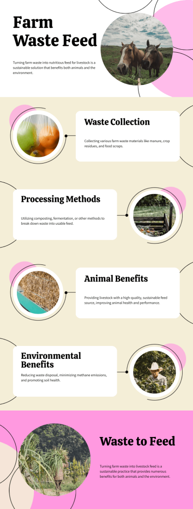 Steps to recycle farm waste into livestock feed in a visual infographic.

