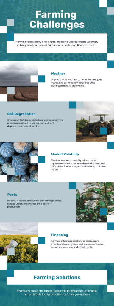 An infographic showing the top 5 farming challenges: unpredictable weather, soil degradation, market volatility, pests, and financing, with corresponding solutions.