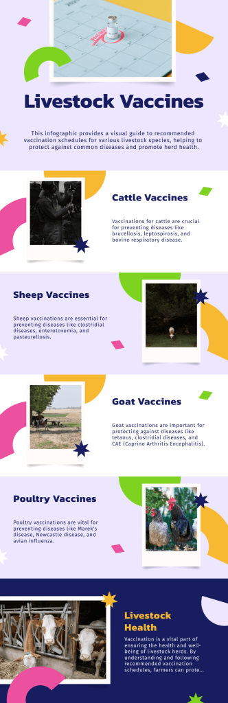 A visual timeline infographic showing a vaccination schedule for cattle, sheep, goats, and poultry with vaccine names, benefits, and timelines.