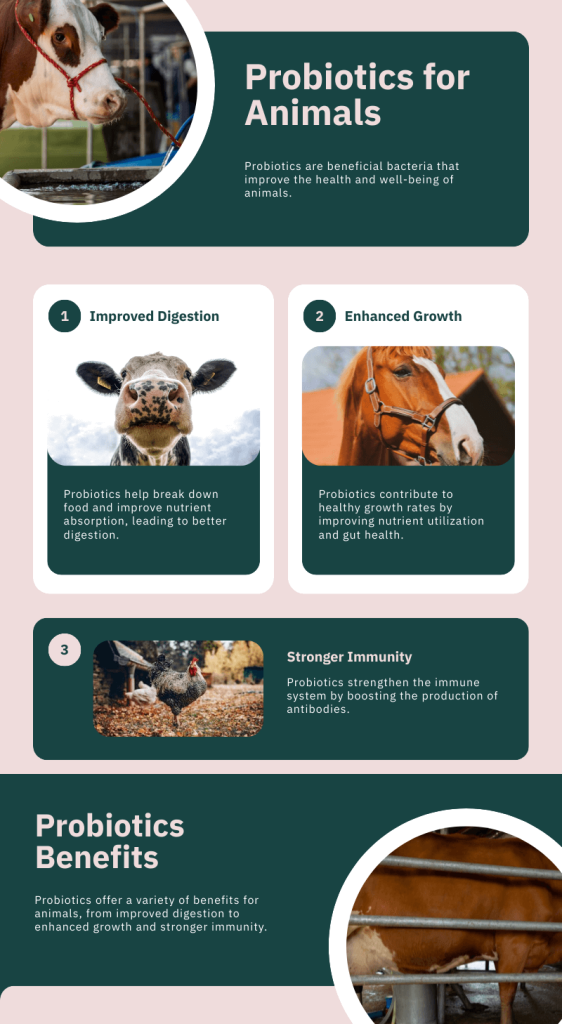 Infographic showcasing the benefits of probiotics for animal health and growth.